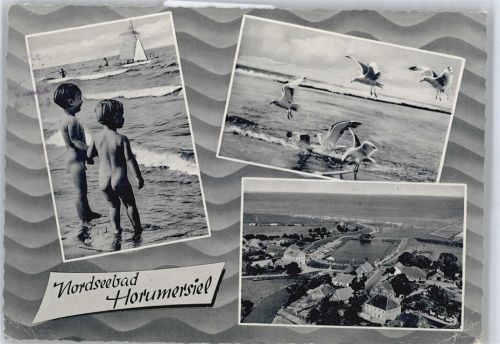 Horumersiel Strand, Teilansicht, Möwen