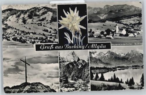 Buching Gipfelkreuz, See, Blume