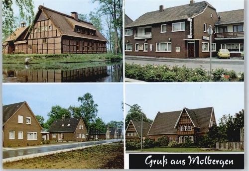 Molbergen Siedlung