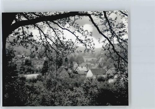 Lauenstein Foto mit Negativ