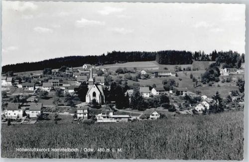 Hammelbach
