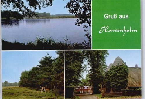 Hartenholm