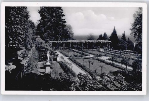 Insel Mainau Rosengarten AKU1