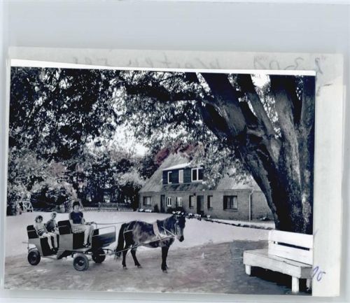 Westensee Foto mit Negativ, Ferienhof Kattenstedt, Ponykutsche