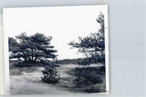 Itterbeck Foto mit Negativ