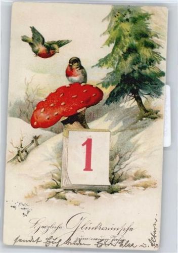 Fliegenpilz , Kalender , Spatzen