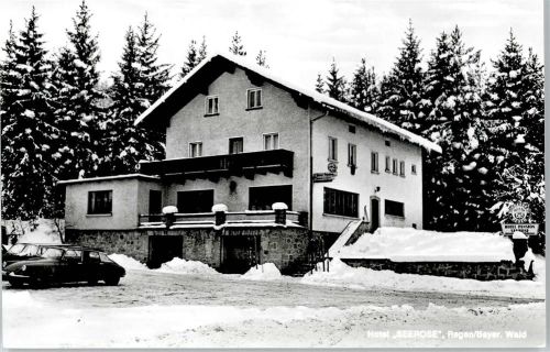 Regen Hotel Pension zur Seerose