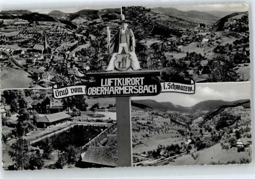 77784 W7617 Oberharmersbach - Schwimmbad