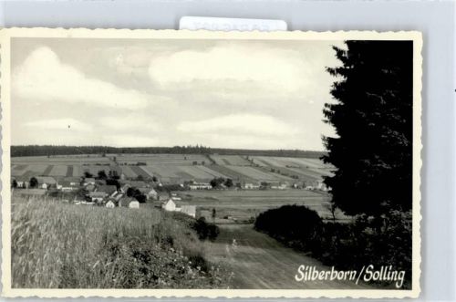 Silberborn