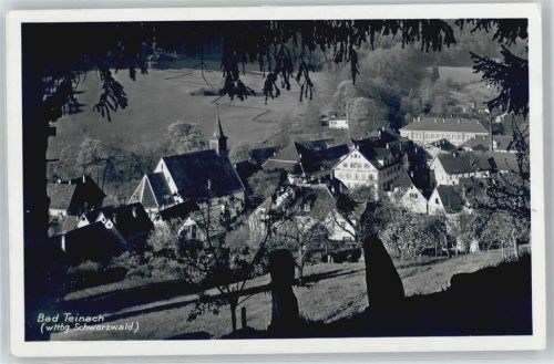 Bad Teinach Teilansicht