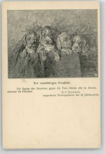 1900 Nr. 10 Berliner Tierschutzverein Hunde