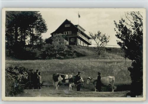 Neusatz Eichenkreuzheim