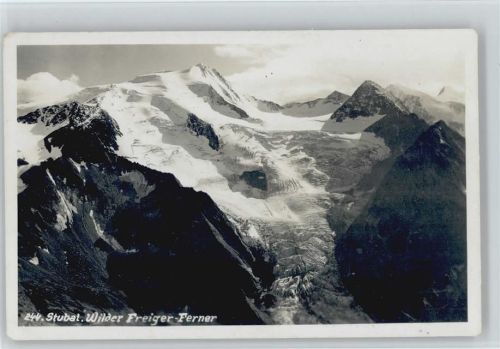 Wilder Freiger