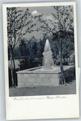 Hann Münden Hainbuchenbrunnen