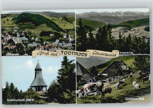 Todtmoos Hochkopfturm Todtmoos-Weg