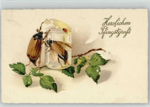 1928 Litho AK Maikäfer