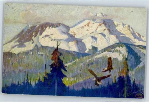 Adler am Mount Shasta