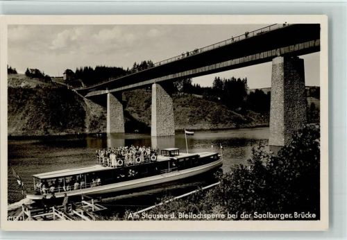 Saalburg Stausee der Bleilochsperre bei der Saalburger Brücke