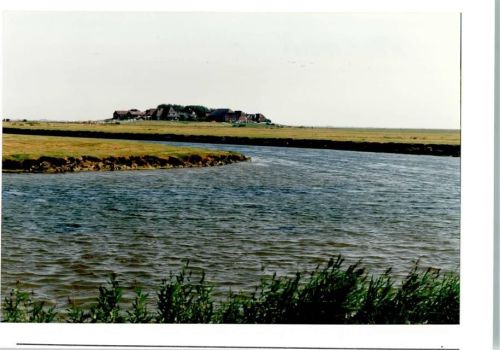 Hooge