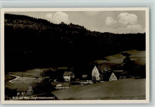 Grasellenbach Hotel Siegfriedsbrunnen ca 1952 AK