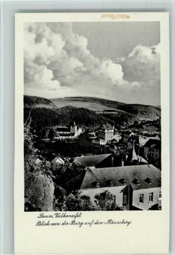 Daun Blick von der Burg auf den Mäuseberg