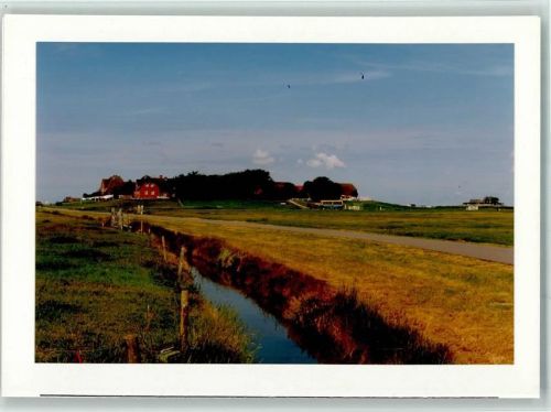 Hooge
