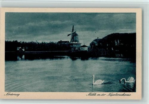 Norderney Mühle an der Napoleonschanze Schwäne