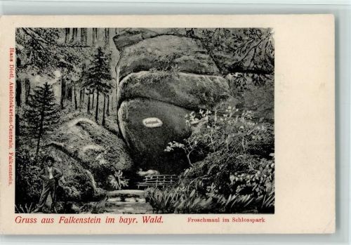 Falkenstein Froschmaul im Schlosspark Felsen