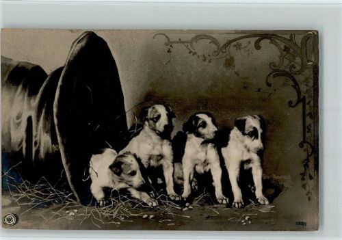Vier Hundewelpen Terrier
