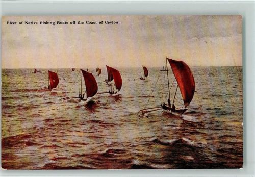 Fischerbootflotte vor der Küste