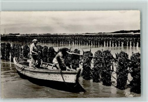 1959 Muschelbänke - Ernte - La Muytiliculture, Bouchots a Moules