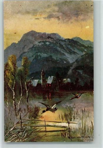 1917 Wildenten im Anflug AK
