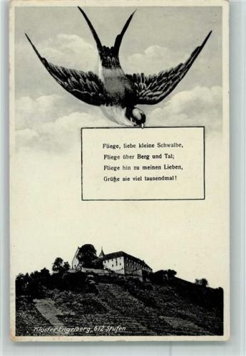 Kleinheubach Kloster Engelberg Schwalbe