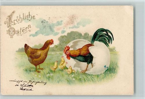 1900 Ostern - ein Hahn kommt aus einem Osterei AK