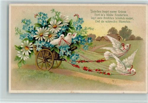 1916 Poesie Spruch - Blumenkarre wird von Tauben gezogen, Vergissmeinnicht, Margeriten AK