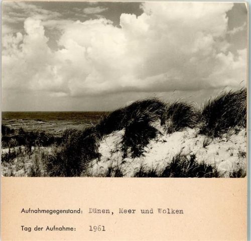 Dünen Foto montiert auf Karton