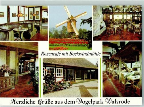 Walsrode Vogelpark Rosencafé mit Bockwundmühle