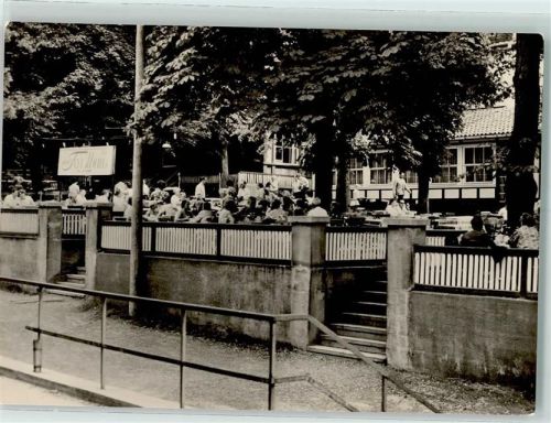 Nordhausen Im Gehege