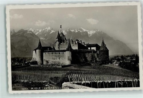 Aigle Le Chateau
