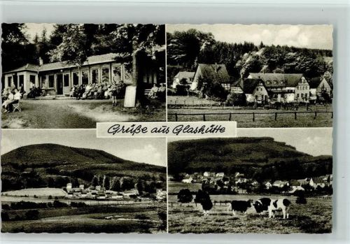 Glashütte Ortsansichten Kühe 4-Bildaufnahme