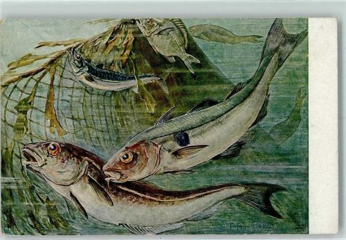 Schellfisch Makrele Brasse sign.