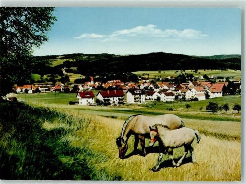 Affolterbach Pferde