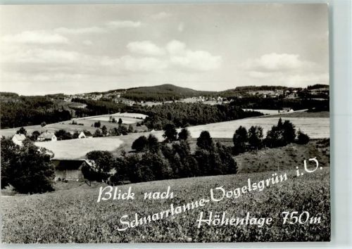 Schnarrtanne Rückseite mit Abschürfungen bzw Kleberesten