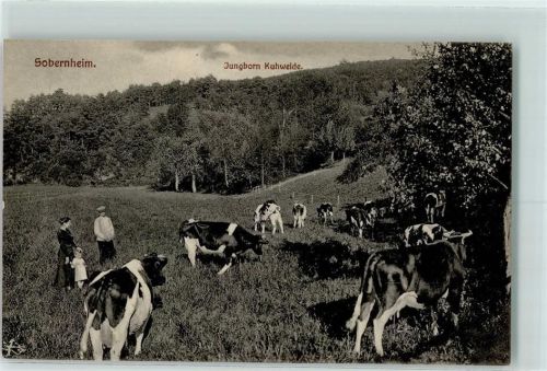 Sobernheim