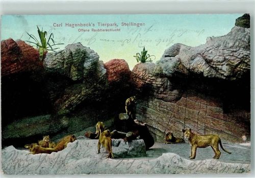 Stellingen 1908 Carl Hagenbecks Tierpark Offene Raubtierschlucht