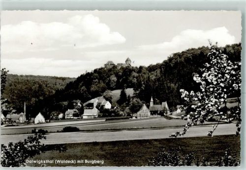 35104 W3540 Dalwigksthal , Waldeck - Burgberg Obstbaumblüte