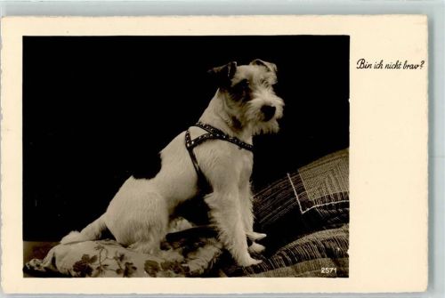 1936 Photochemie Nr. 2571 AK