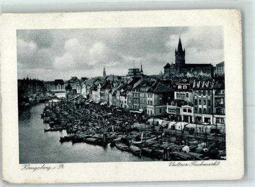 Königsberg Hafen Fischmarkt