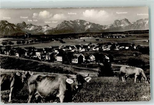 Marktoberdorf Gebirgskette weidende Kühe