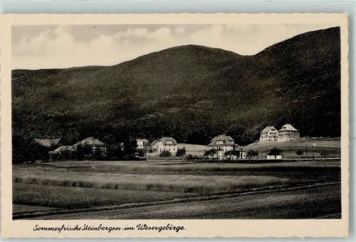 Steinbergen